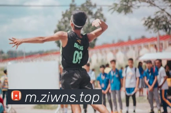 App Interface Preview